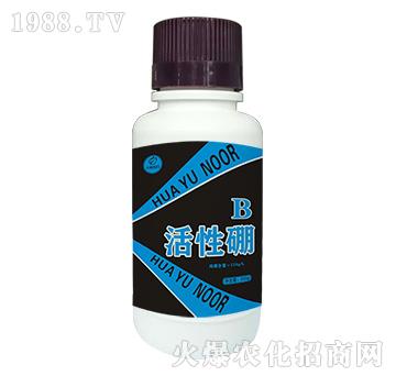 ������-�Z��