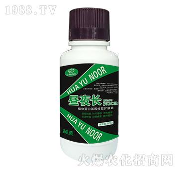 �߲ˌ��ú�������ˮ�ܷ���-��ҹ�L-�Z��