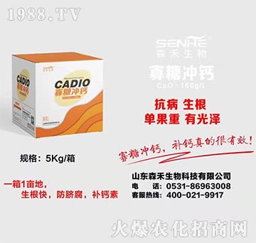 ���Ǜ_�}-ɭ������