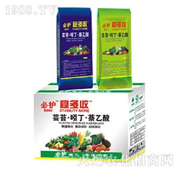 �|̦���Ŷ���������-��(w��n)����-�滯���h(yu��n)