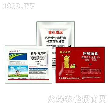 ����ҹ����x(ch��ng)�Ě��焩