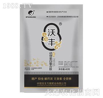 ���ﵰ��������-���S�f¡