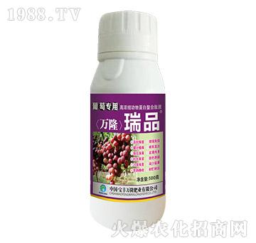 ���ь��øߝ�s��(d��ng)�ﵰ��������Һ-��Ʒ-���S�f(w��n)¡