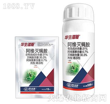 31%���S����ω��-�A������-�A������