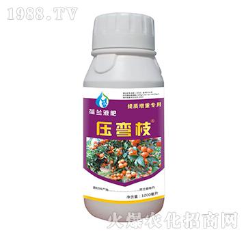 ���mҺ��-����֦-��(chu��ng)���r(n��ng)