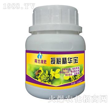 ���mҺ��-�ڷ۾��A��-��(chu��ng)���r(n��ng)