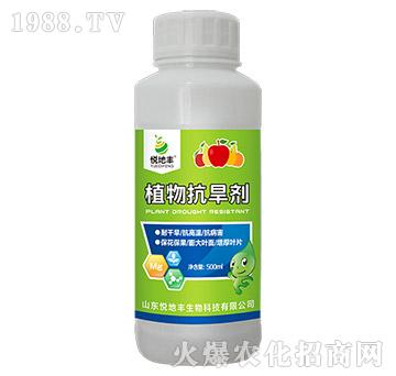 ֲ�￹����-�����S