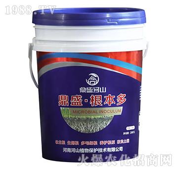 �{����΢�������-������-��ʢ��ɽ