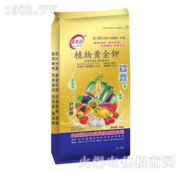 ֲ���S���-���S��-�����r�I(y��)