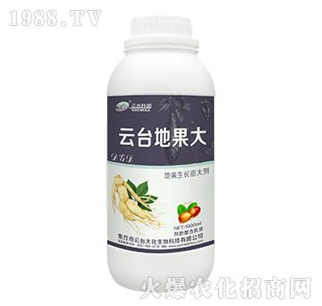 云臺(tái)地果大-云臺(tái)大化