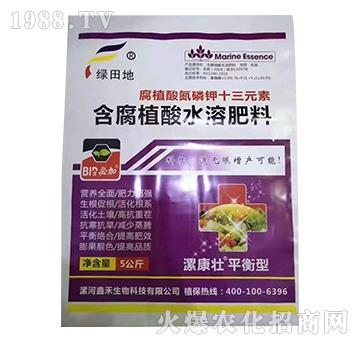 ��ֳ�ᵪ���ʮ��Ԫ��-