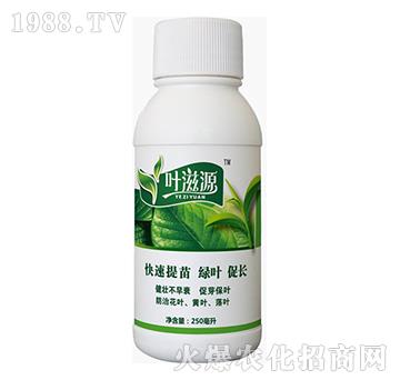 �~��Դ-�{���r��