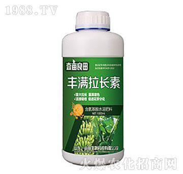 �S�M���L��-Ҽ������