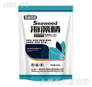 ���徫-Ҽ������