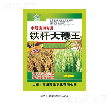 鐵桿大穗王-萬(wàn)泉農(nóng)化