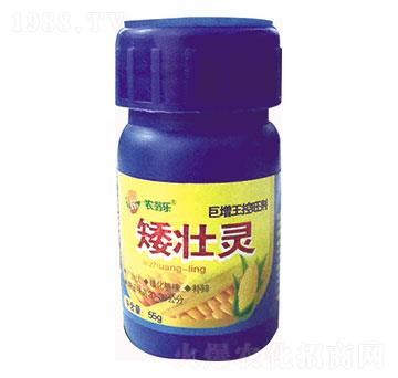 矮壯靈-農(nóng)翁樂(lè)