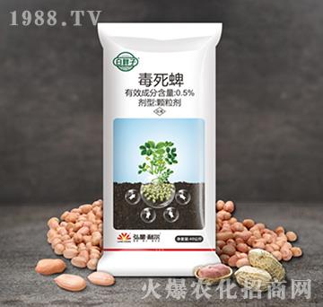 0.5%�����绨��ˎ��-������-С����