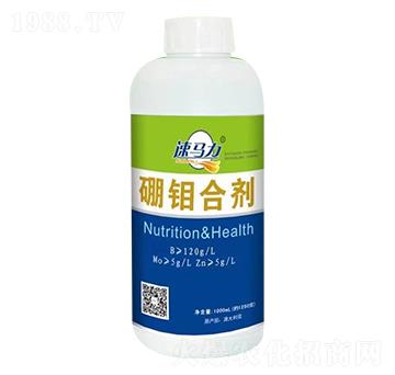 ���f�τ�-���R��-�а�