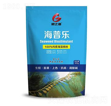 ���՘�-��֮��