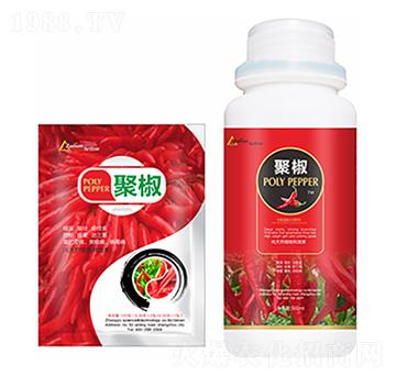 聚椒-中?？萍? width=