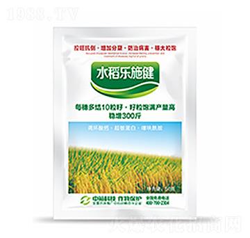 水稻樂施健-中?？萍? width=