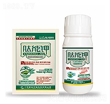 肽能鉀-中?？萍? width=