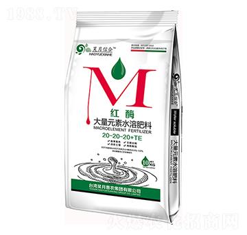 大量元素水溶肥20-20-20+TE-紅酶-昊月信合
