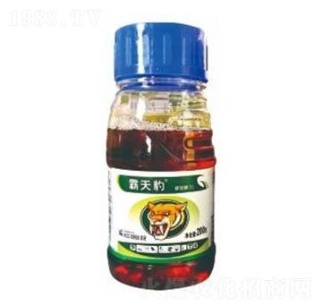 20%���@�-���챪-ϲ�S��