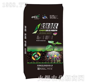 �в�ˎ΢�������-����-�ﲩʿ