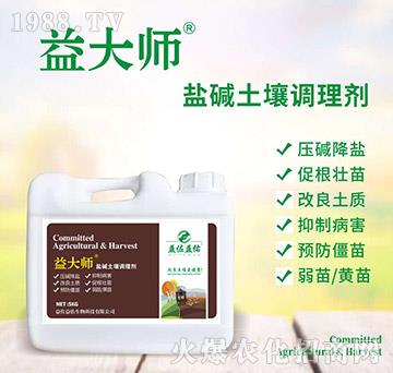 �}�A�����{�턩-���-��������