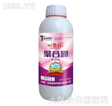 �ۺ���-�~����-���S����