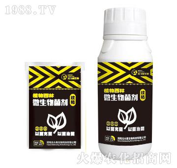 紋枯專用微生物菌劑-植物西林-北斗星