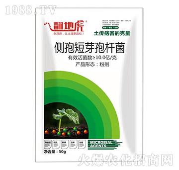 ���߶�ѿ�ߗU��-���ػ�-�T�_