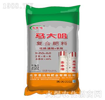 ������(f��)�Ϸ�28-6-6