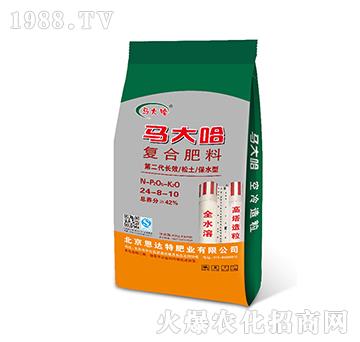 ������(f��)�Ϸ�24-8-10-�R���