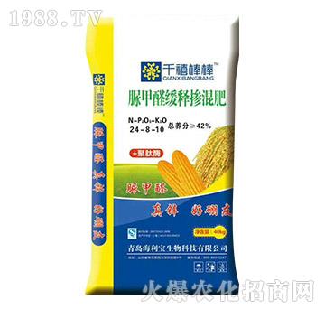 ���ȩ��ጓ����24-8-10-ǧ������-��