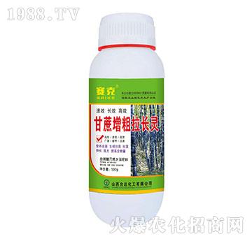 �����������L(zh��ng)�`-ِ��-�_(t��i)�_(d��)