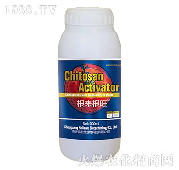 ��������-�����S