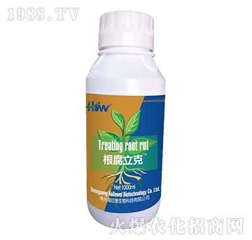 ��������-�����S