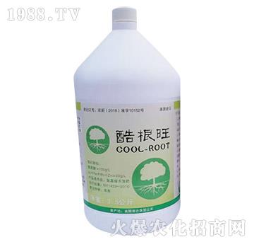 �����-�S���r(n��ng)�I(y��)