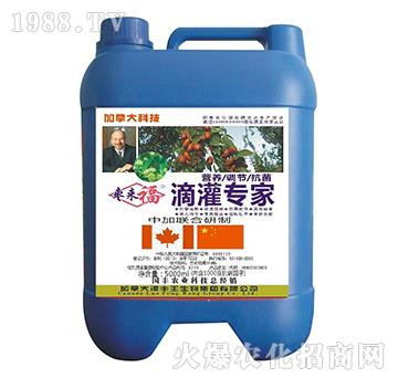 �ι�����-������-���S��