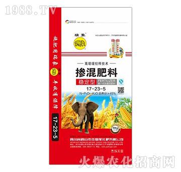 ��(w��n)���͓������17-23-5-������