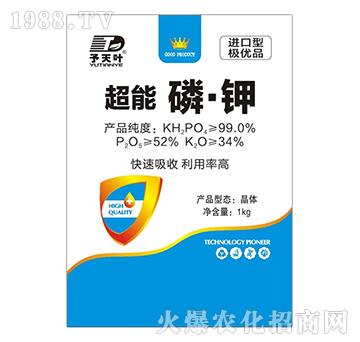 �����ס��-���~����