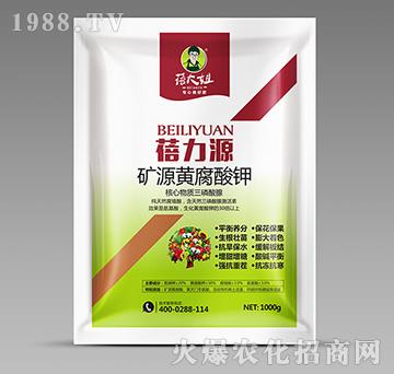 礦源黃腐酸鉀-蓓力源-蓓大姐