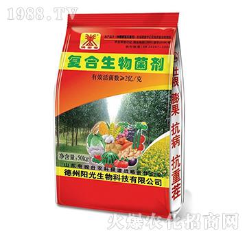 ��(f��)���������-�M�ﴺ-ꖹ�����