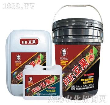 松土膨果精-葉旺·立果-海利丹