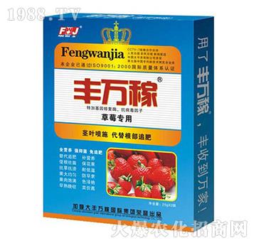 ��ݮ���÷�-�LЧ������