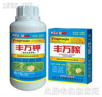 �����󶹌��÷�-���俹