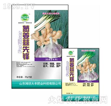 25g�[�������h-��@���S-���S�ʘI(y��)