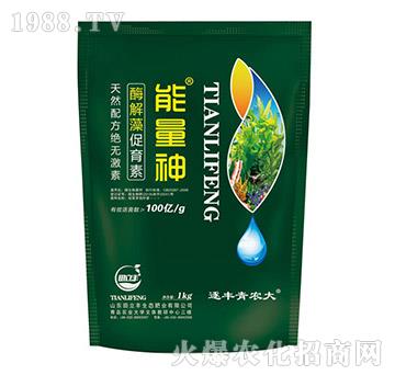 ø���������-������-�����S